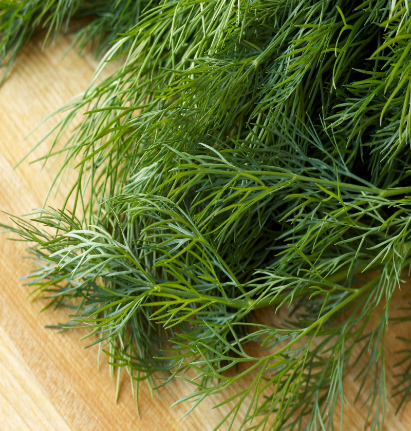 dill substitute
