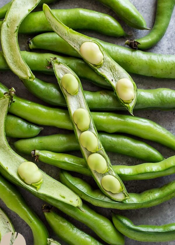 fava beans substitute