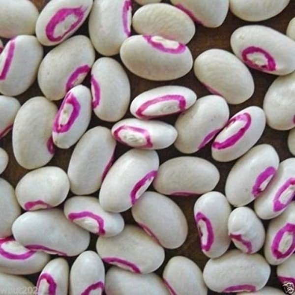 Southern Pink Lady Peas